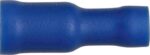 Blue Insulated Terminals - Receptacle Sockets | ET19 - Image 2